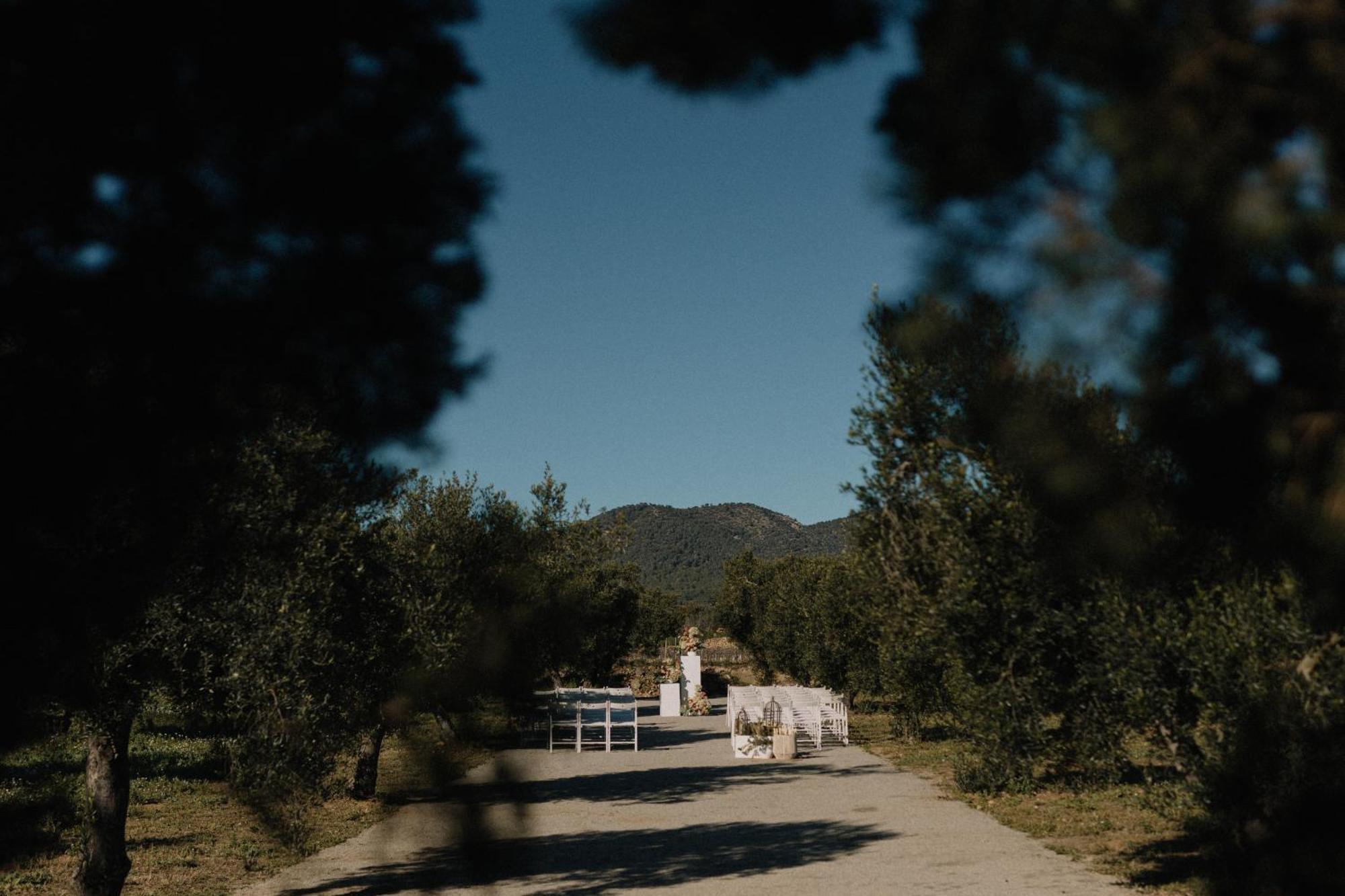 Finca La Concertista Llorenc del Penedes ภายนอก รูปภาพ